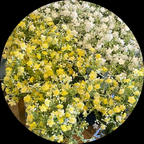 valeriagr267